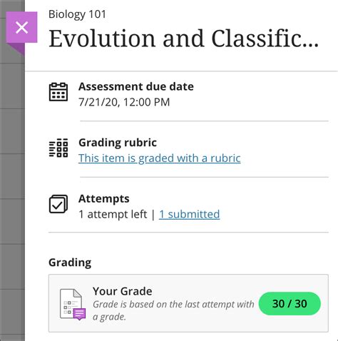 Assignment Grades