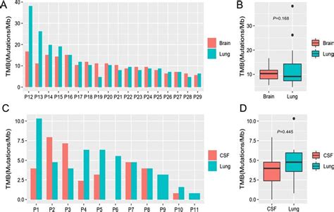 Tumor Mutation Burden Tmb In Paired Primary Lung And Cns Lesions Tmb Download Scientific