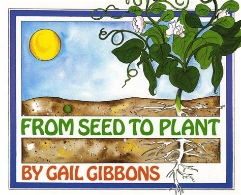 Books About Seeds For Kids