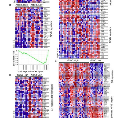 GSK 3 inhibition activates NFκB independently of β catenin and AR A