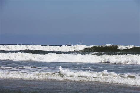 Espuma E Ondas Do Mar Imagem De Stock Imagem De Surfe