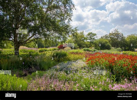 Summer Country Garden Landscape Colorful Picturesque Horticulture