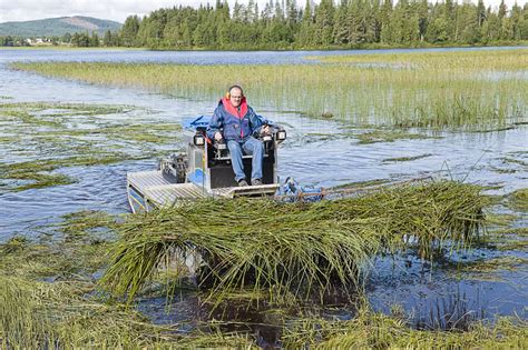 Truxor Hire Amphibious Cutting Harvesting Silt Removal Machine Salix