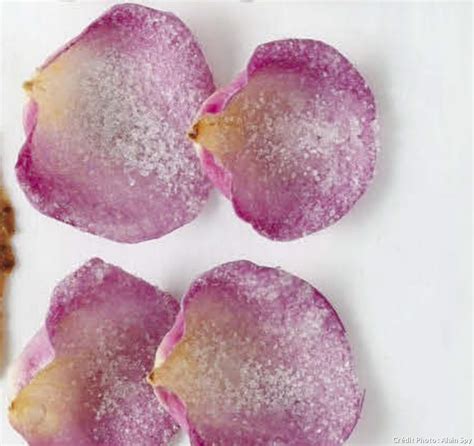 Pétales de roses cristallisés Recette Petale de rose Rose Cahier