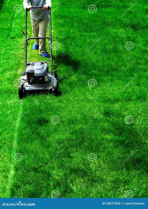 Mowing Lawn Grass stock photo. Image of plant, green - 28577032