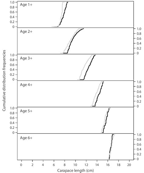 Cumulative Frequencies Of Size Distribution By Sex And Cohort Of The