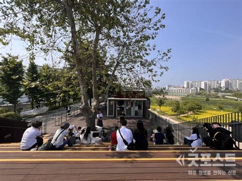 사회화부터 노령동물 돌봄까지‘서울 반려동물 시민학교하반기 모집