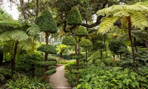 Lotusland Book Tours Historical Botanic Garden in Montecito, California ...