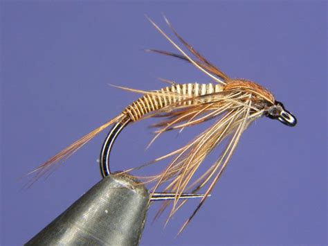 Brown Hackle Mayfly Emerger Fly Pattern Nymph Fly Patterns Fly Tying