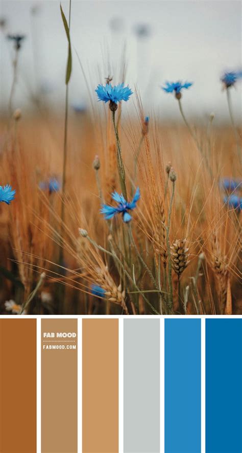 Corn Flower And Wheat Colour Scheme Colour Palette 98 Color