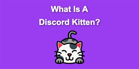 Discord Kitten Explained What They Are And What They Do