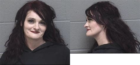 Williams Heather Lyn Crawford County Mugshots Zone