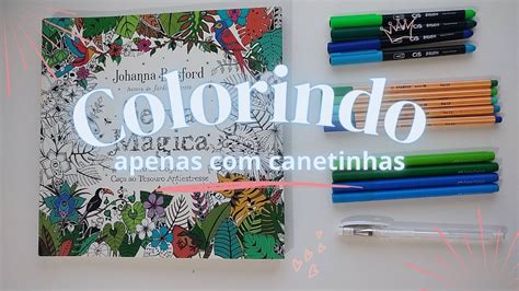 Colorindo Livro Selva M Gica Canetinha Youtube