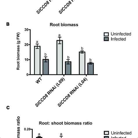 Shoot Biomass A Root Biomass B And Root Shoot Biomass Ratio C