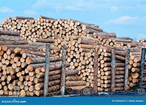 Stacks Of Lumber Stock Image Image Of Mill Softwood 23542619