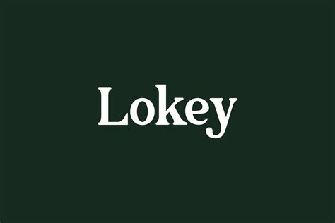 lokey  font  fonts shmonts