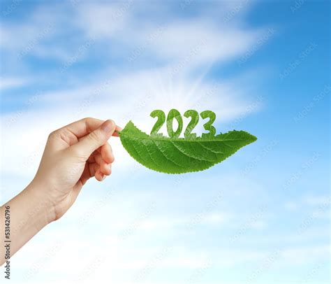 Hand Holding Leaf 2023 New Year 2023 Green Recycling And Saving Our