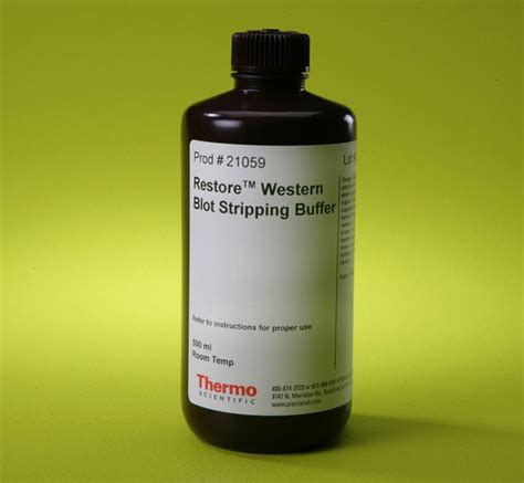 Thermo Scientific™ Restore™ Western Blot Stripping Buffer | Fisher ...