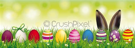 Easter Eggs Bunny Ears Grass Transparent Header Stock Vector 690343