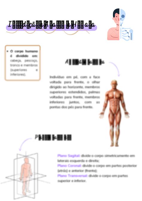 SOLUTION Introdu O A Anatomia Humana Studypool