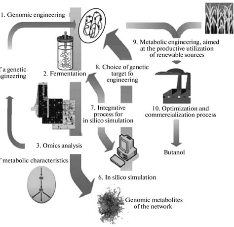 Development Strategy For The Integrated Bioprocess Of Biofuel