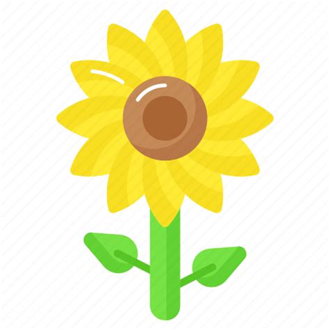 Sunflower Flower Nature Floral Petals Helianthus Plant Icon