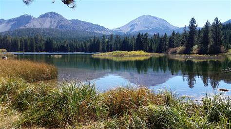 Lassen National Park - Naturalists at Large - Environmental education, mixed conifer forests ...