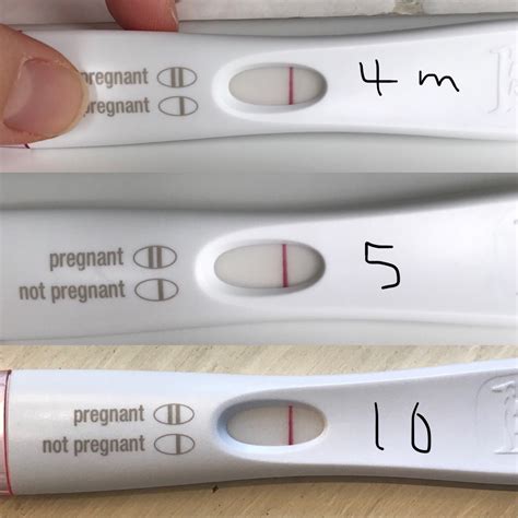 7 Dpo Pregnancy Test Pictures Duchesstips