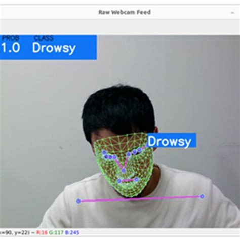 Shows The Experimental Results Of Landmark Based Driver Drowsiness