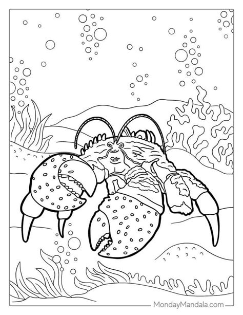 Pin By Sandra Kimbrow On Coloring Pages Moana Moana Coloring Pages