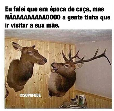 Free Porn Sex Videos