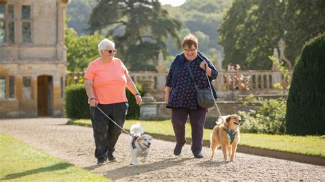 Dog-friendly places in Somerset | National Trust