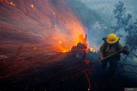 Korban Jiwa Kebakaran Los Angeles Bertambah Jadi Orang Antara News