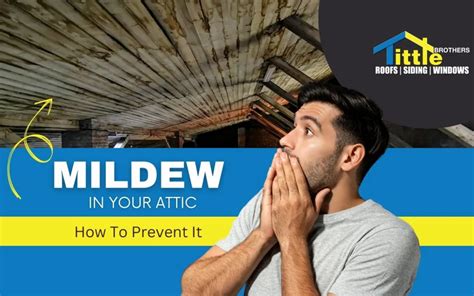 Mildew In Your Attic Why Ventilation Matters Michigan Roofing