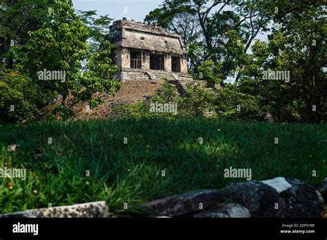 Small Pyramid Mayan Ruin Temple At The Archaeological Site Of Palenque