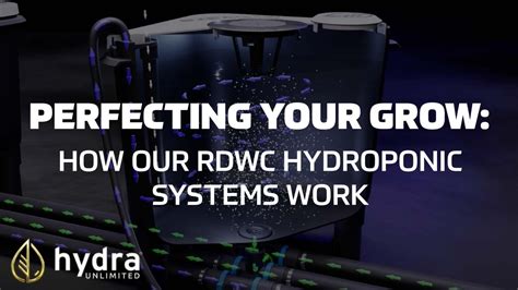 Perfecting Your Grow How Our Rdwc Hydroponic Systems Work Hydra