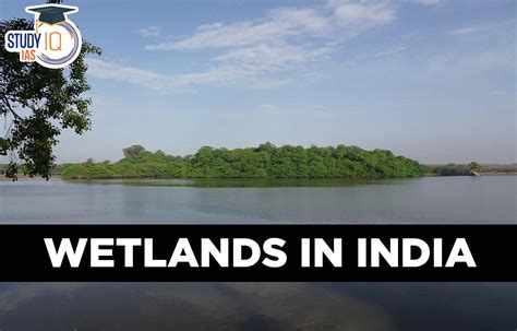 Wetlands In India List Map Types Importance And Threats