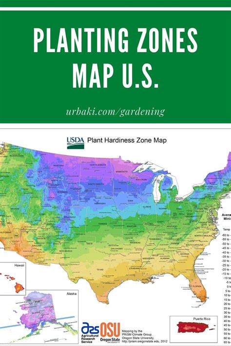 Planting zones map united states – Artofit