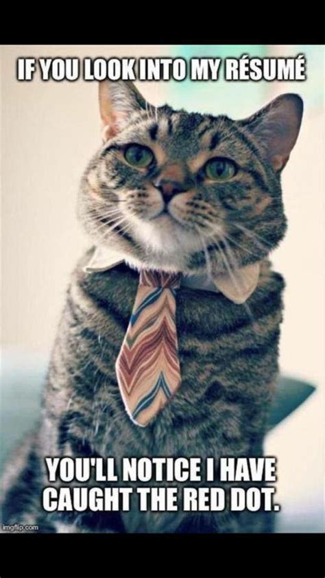 Business Cat Meme By Nappyboiii 55 Memedroid