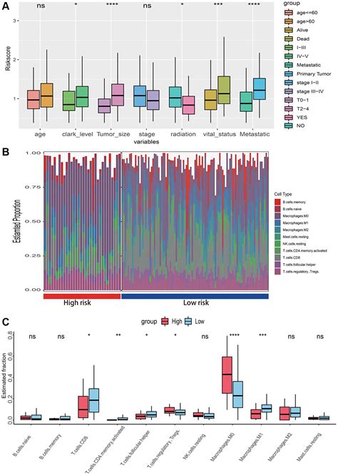 Tumor Infiltrating Macrophage Associated LncRNA Signature In Cutaneous