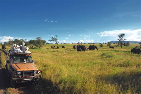 The best safari destinations in Africa