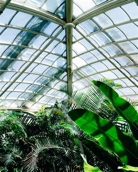 A Plant Lover S Travel Guide Sch Nbrunn Palm House Anna Farba