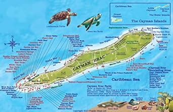 Brac Island Dive Map Reef Creatures Guide Franko Maps Laminated Fish