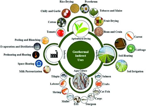 Direct Means Of Geothermal Energy Utilization Download Scientific Diagram