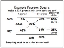 Nutrition Basics Veterinary Preventive Medicine