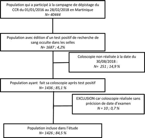 Conditions De Réalisation De La Coloscopie En Martinique Dans Le Cadre