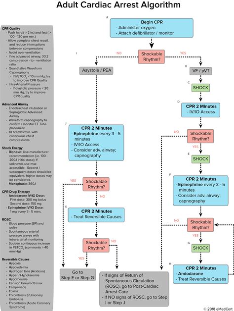 Acls Manual 2021 Pdf Free