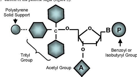 Chemical Synthesis Of Oligonucleotides Semantic Scholar