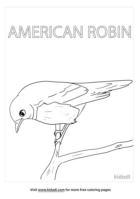 Free Michigan State Bird Coloring Page | Coloring Page Printables | Kidadl