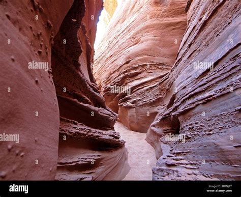 Spooky Gulch Slot Canyon At Dry Fork A Branch Of Coyote Gulch Hole